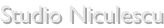 shapeimage_1_link_0